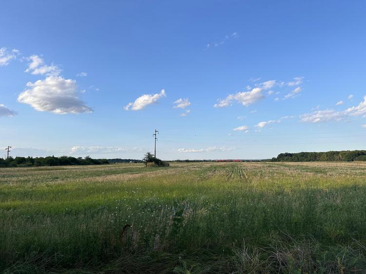 Teren agricol extravilan de 9113 mp, în Cotești