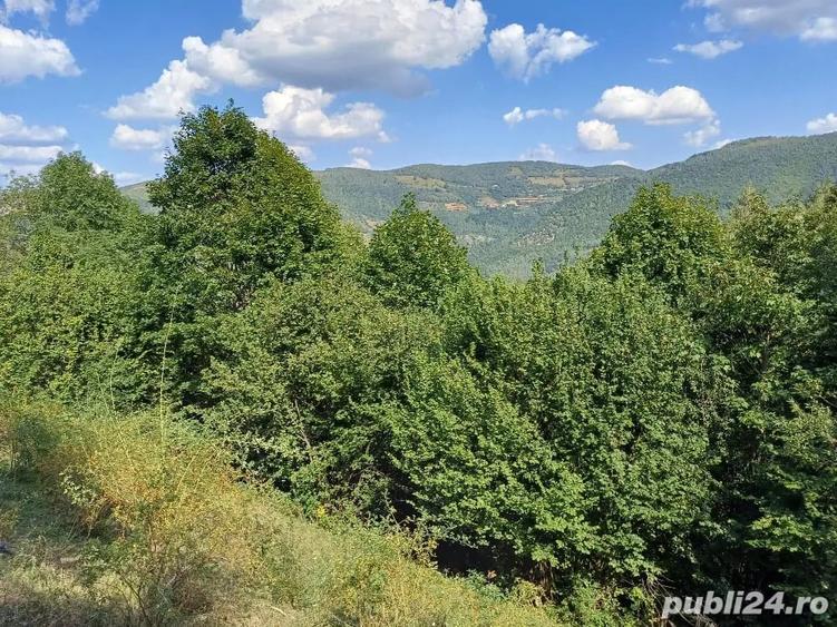 Teren de 3000 mp, în Măguri