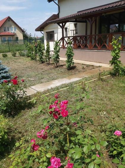 Casă cu 5 camere cu Teren 521 Mp în Balotești