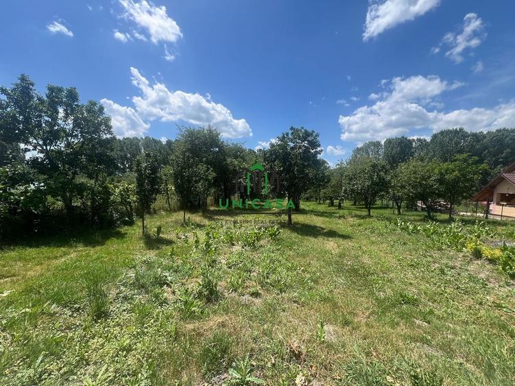 Teren Construcții intravilan de 3200 mp, în Fedeleșoiu
