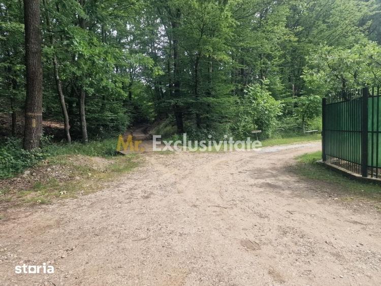 Teren extravilan Pitesti - str. Balotesi!! - 7