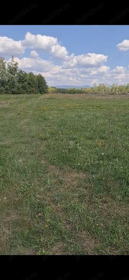 Teren de 6764 mp, în Chechiș