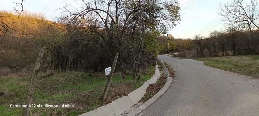 Teren de 5000 mp, în Ghercești