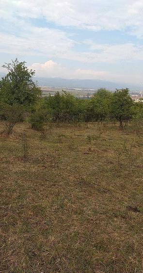 Teren de 4600 mp, în Central