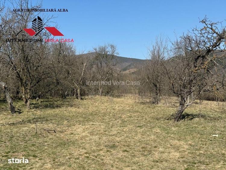 Casa si anexe cu un teren de 7701 mp de vanzare in Stauini Jud Alba