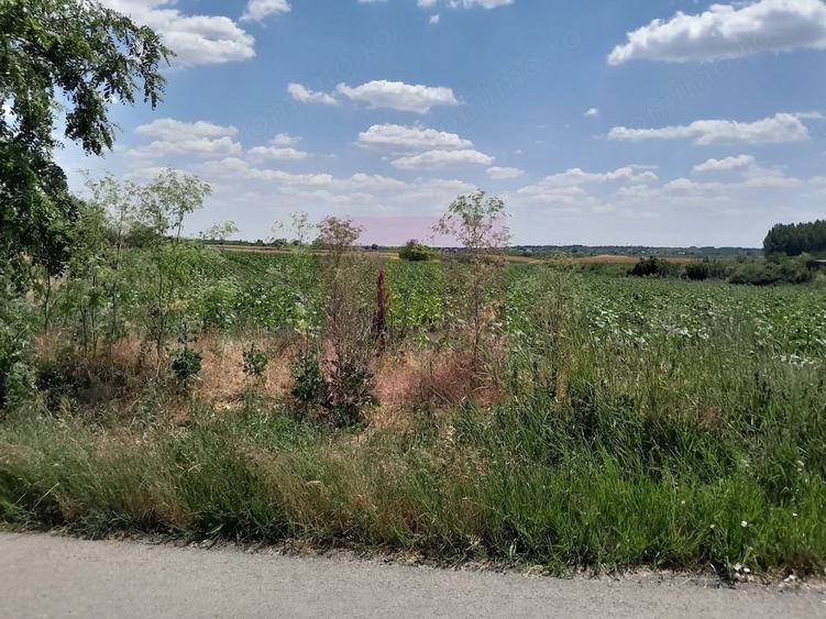 Teren de 16500 mp, în Teișori