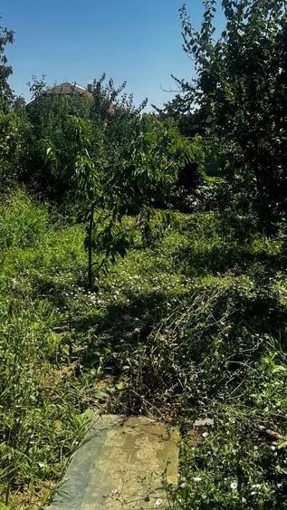 Casă individuală cu 6 camere cu Canalizare în Ronaț