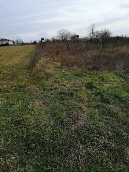 Teren de 1000 mp, în Moara Vlăsiei
