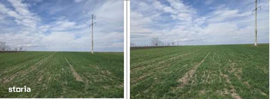 Teren de 2500 mp, în Greaca