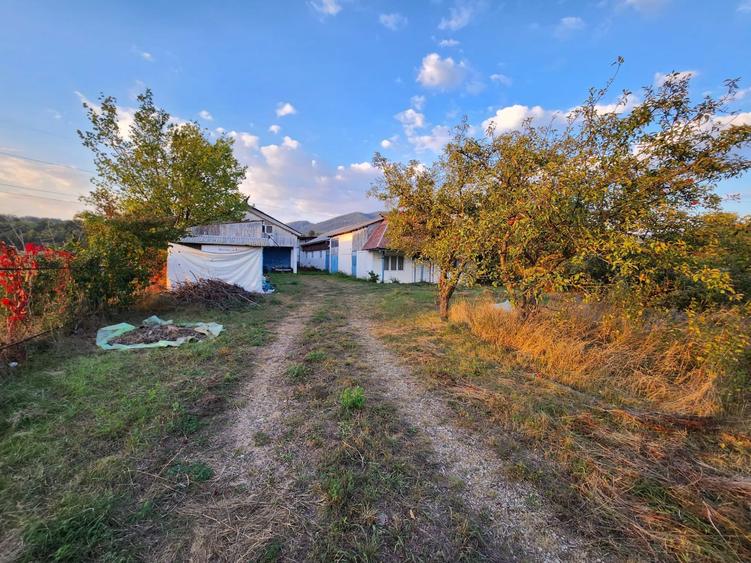 Teren Construcții intravilan de 8200 mp, în Alexandru cel Bun