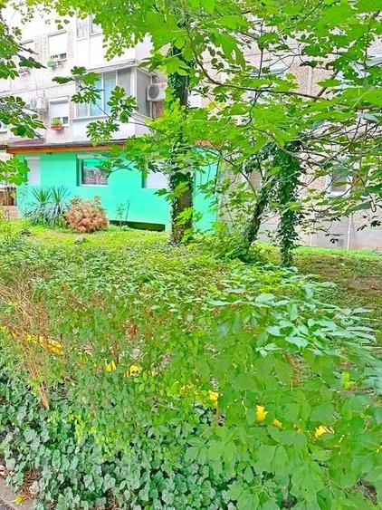 Apartament cu 3 camere decomandat, mobilat în Dacia