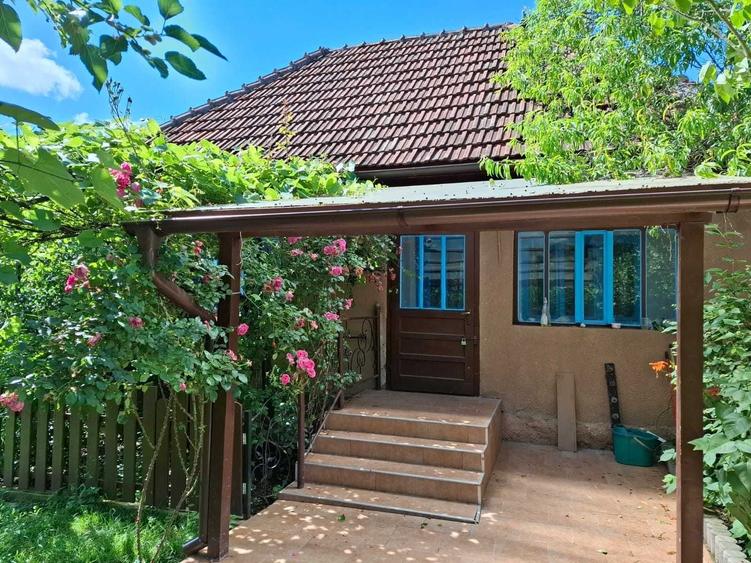 Casa + teren de vanzare in Brad, Hunedoara proprietar - 7