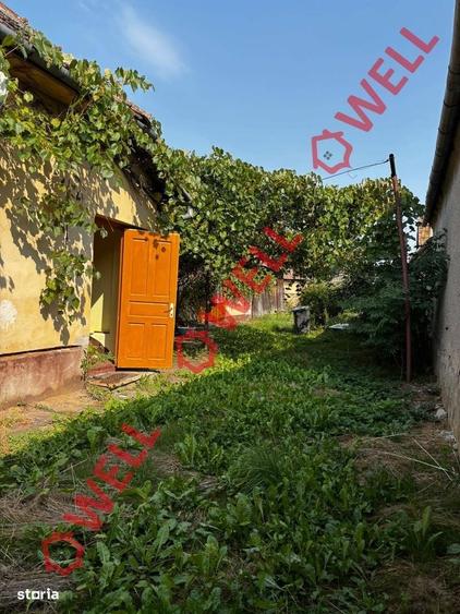 Casă cu 2 camere în Dacia