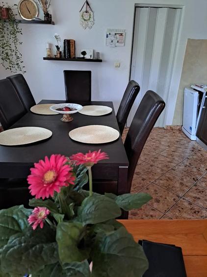 Casă cu Teren 2800 Mp în Orașu Nou