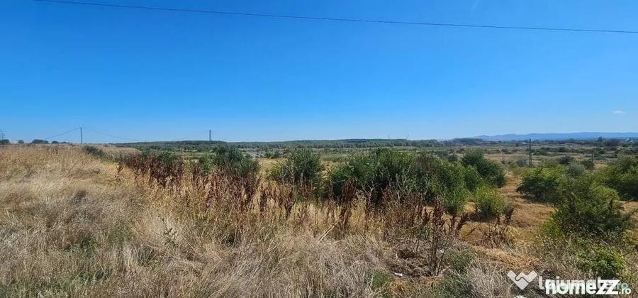 Teren de 14168 mp, în Brăilița