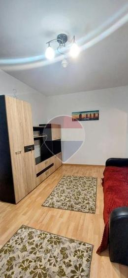 Apartament cu 2 camere nedecomandat, mobilat în Tătărași