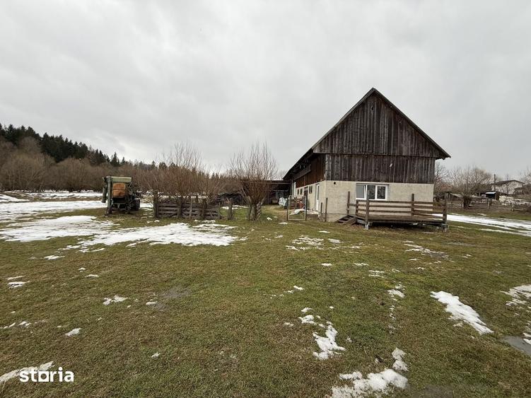 Teren de 3600 mp, în Horodnic