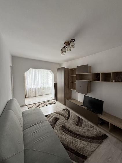 Apartament cu o camera de inchiriat in Arad - 6
