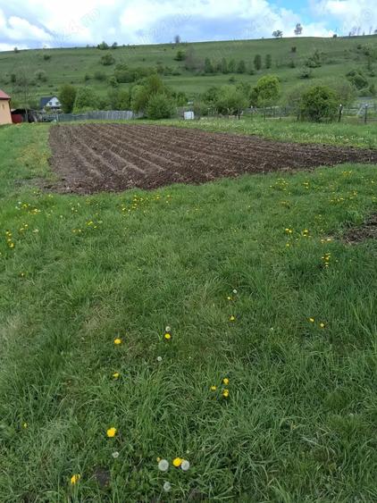 Casă cu 4 camere în Toplița