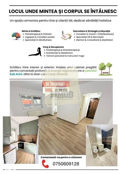 Spațiu comercial, de 30 mp, în Sub Arini