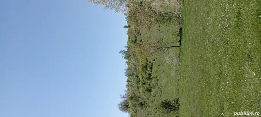 Teren în Gușoeni