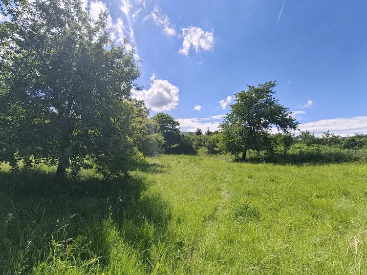 Teren de 2000 mp, în Fedeleșoiu