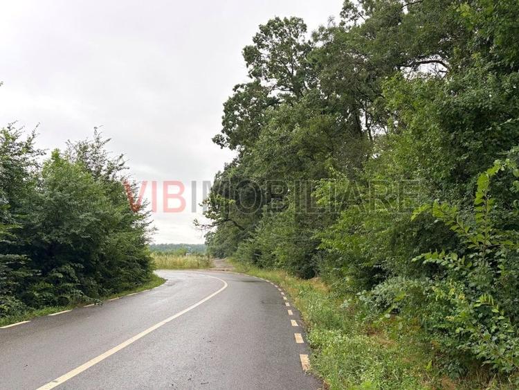 Teren intravilan de 1295 mp, în Ghermănești