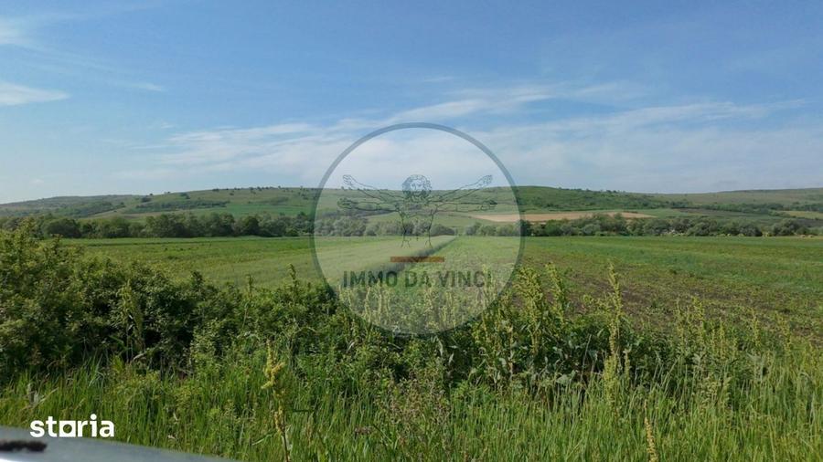 Teren de 10670 mp, în Borșa
