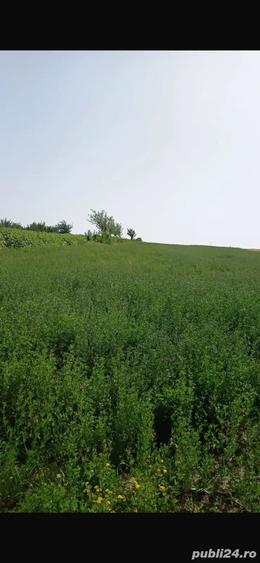 Teren de 5000 mp, în Copălău