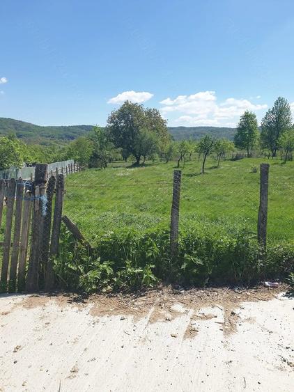 Teren de 19116 mp, în Jupânești