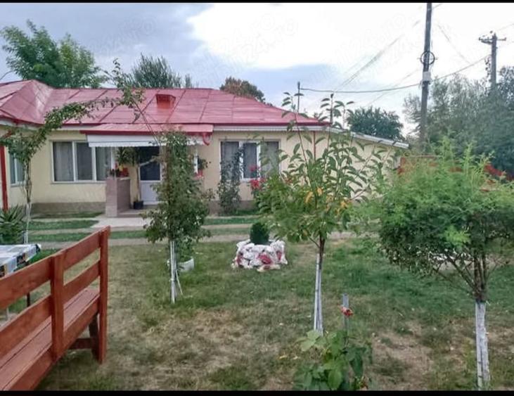 Casă cu 3 camere cu Teren 2350 Mp în Central