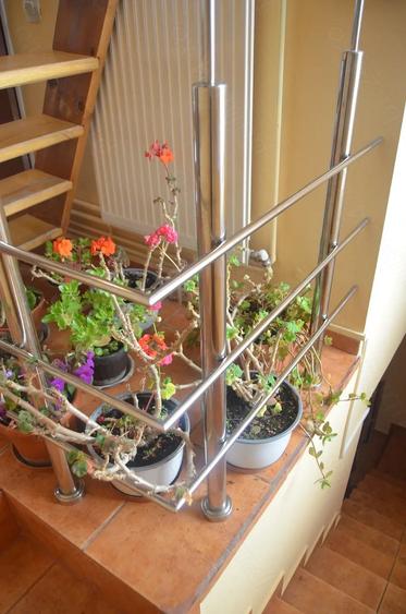 Casă cu 5 camere cu Teren 300 Mp în Central