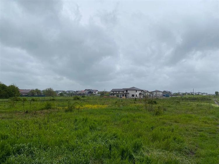 Teren Construcții intravilan de 3993 mp, în Ciorogârla