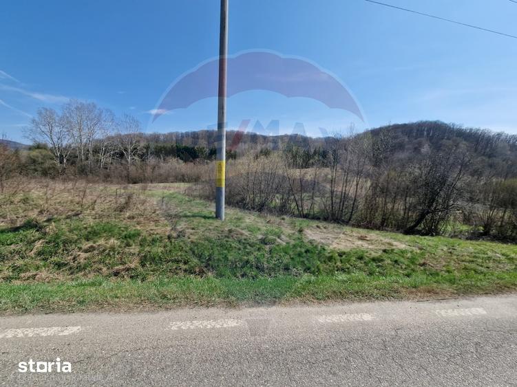 Teren de 9428 mp, în Mărgineni