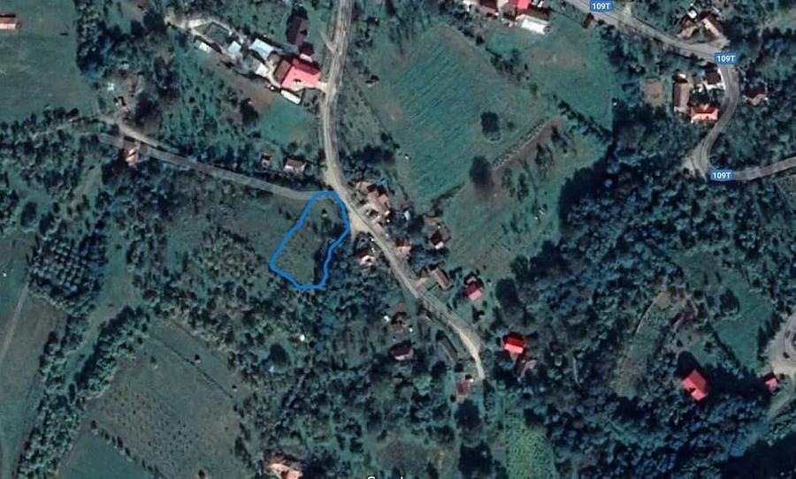 Teren de 1591 mp, în Nicula