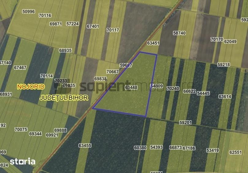 Teren de 70235 mp, în Nojorid