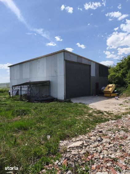 Teren 1000 mp intravilan - 1