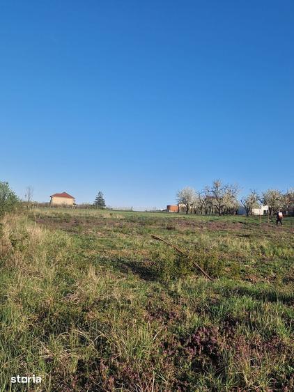 Teren de 3100 mp, în Paleu