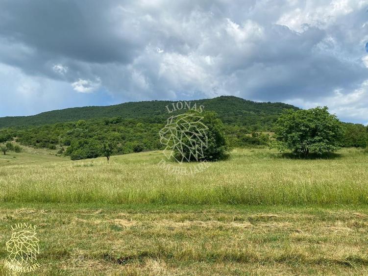Teren agricol extravilan de 7200 mp, în Șieu-Măgheruș
