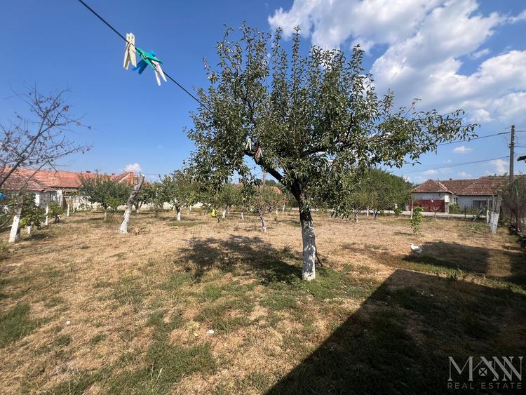 Teren agricol intravilan de 1000 mp, în Tileagd