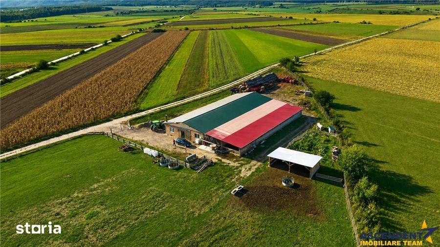 Teren de 18000 mp, în Feldioara