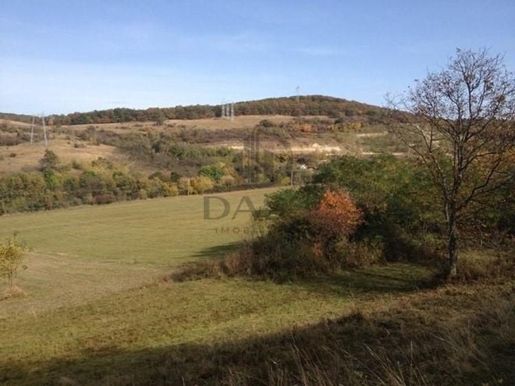 Teren agricol extravilan de 1125 mp, în Gușterița
