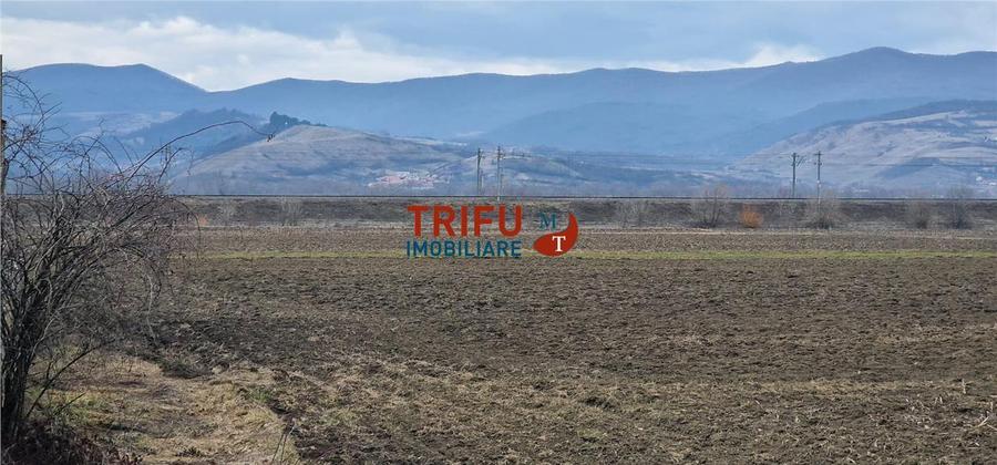 Teren Construcții intravilan de 1600 mp, în Ampoi 1