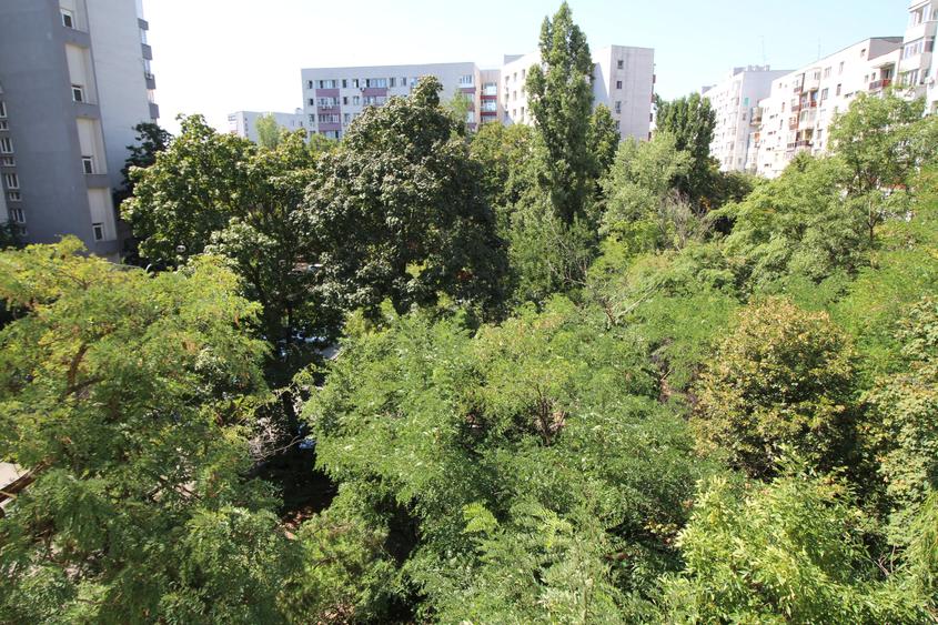 Metrou Titan la 3 minute, 2 camere decomandat, renovat și mobilat, Parc IOR - 15