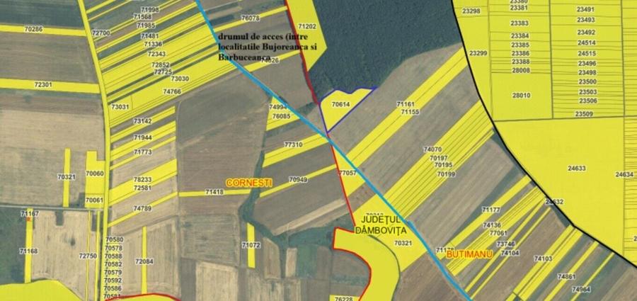 Teren agricol intravilan de 16872 mp, în Butimanu