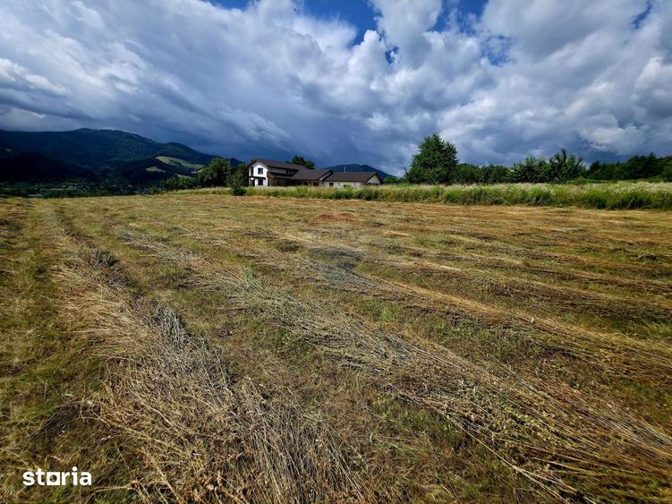 Teren de 600 mp, în Alexandru cel Bun