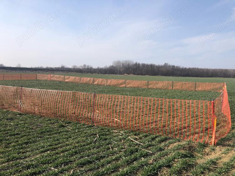 Teren de 622 mp, în Clinceni