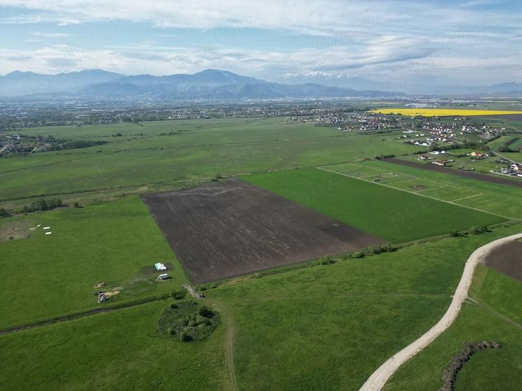 Teren de 8600 mp, în Stupini