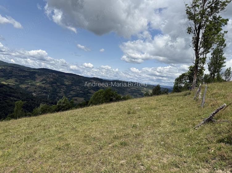 Teren de 5000 mp, în Năpăiești