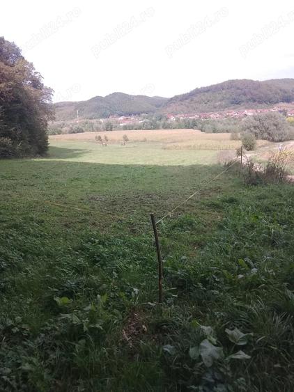 Teren de 5600 mp, în Nord